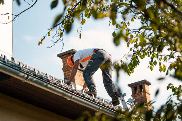 Best New Roof Installation  in Williamson, WV