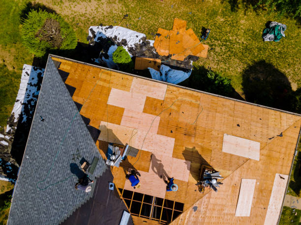 Best Roof Repair Specialists  in Williamson, WV