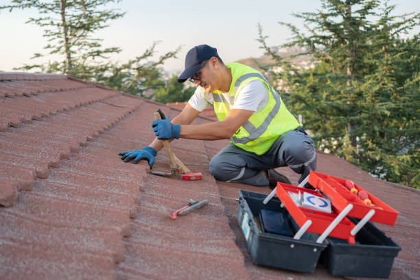 Best Storm Damage Roof Repair  in Williamson, WV
