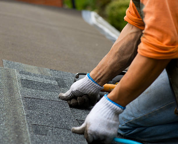 Best Roof Gutter Cleaning  in Williamson, WV